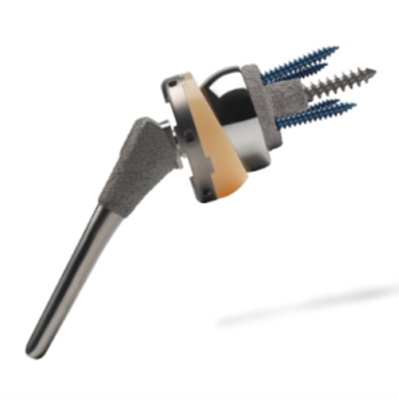 Afbeeldingsresultaat