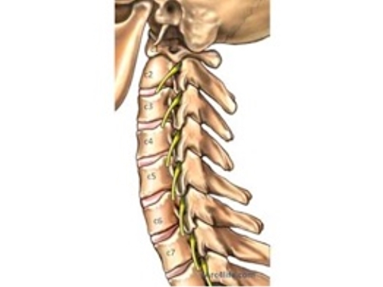 Afbeeldingsresultaat