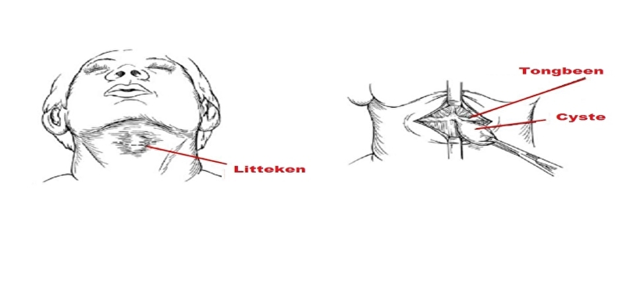 C:\Users\mvermeulen\AppData\Local\Microsoft\Windows\Temporary