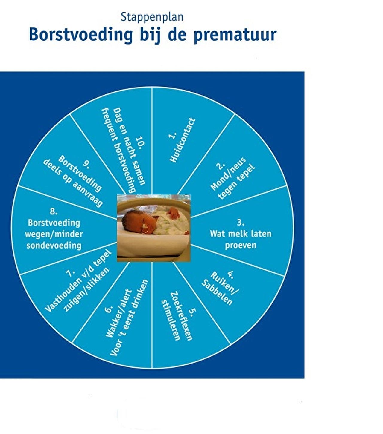 borstvoeding stappenplan