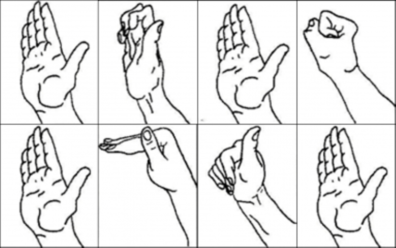 https://www.orthopedieherentals.be/images/symptoms/medium/revspringvinger1-2.png https://www.orthopedieherentals.be/images/symptoms/medium/revspringvinger1-2.png