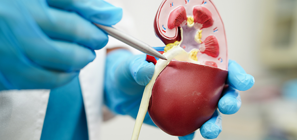 Sterilisatie bij de man (vasectomie)