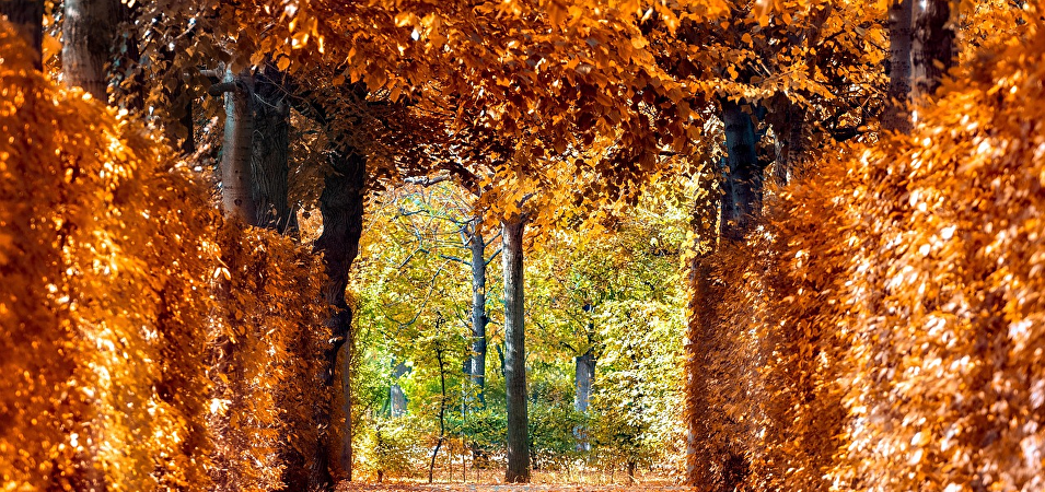 Seizoensgebonden tips voor diabetes